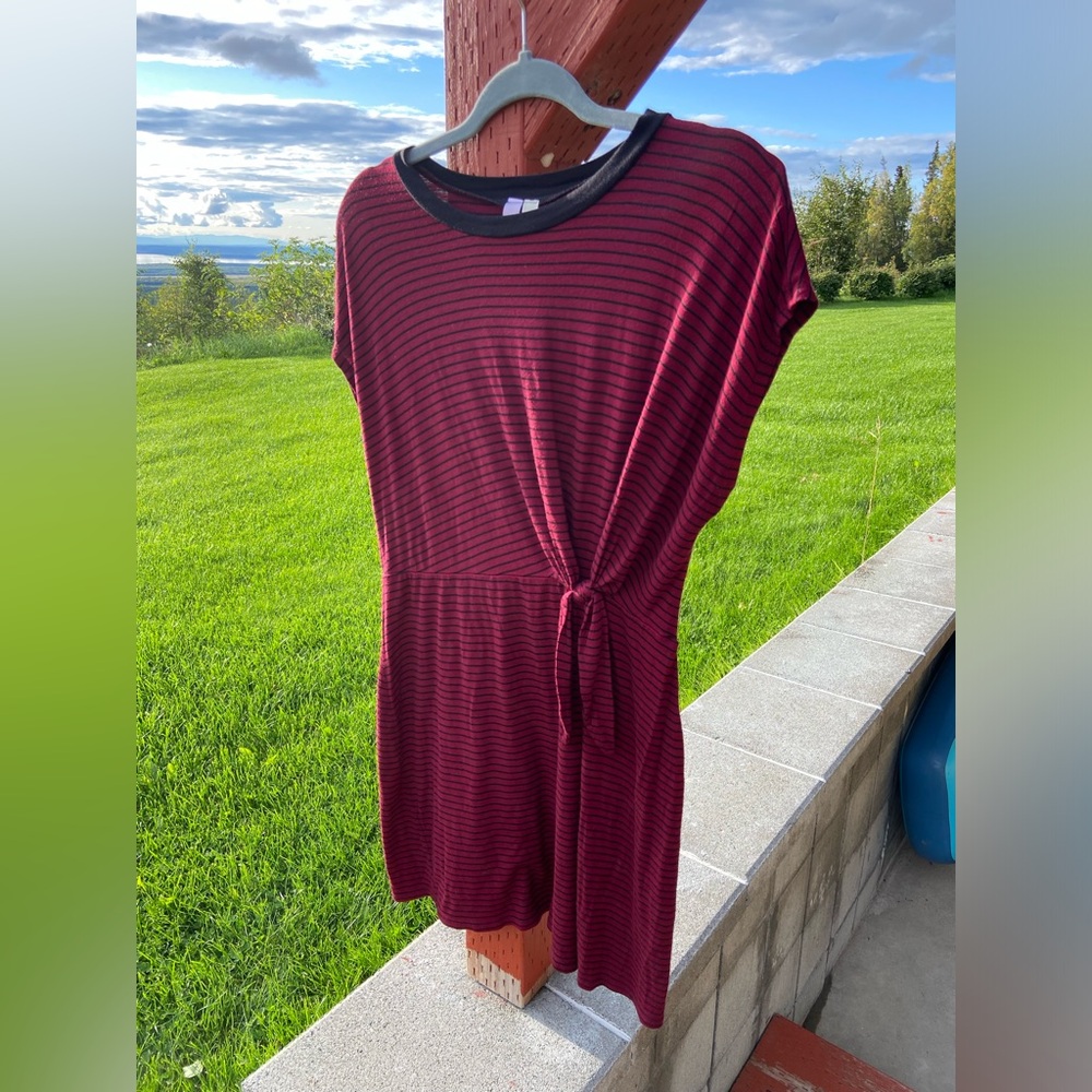 Ayla Francesca’s Striped Fitted Dress